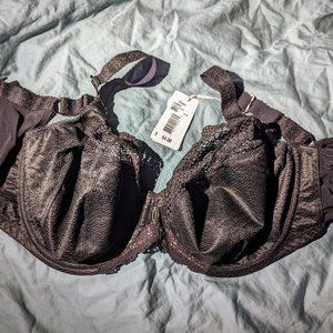 Elomi Carmen Underwire Plunge Bra with Stretch Cup 40G